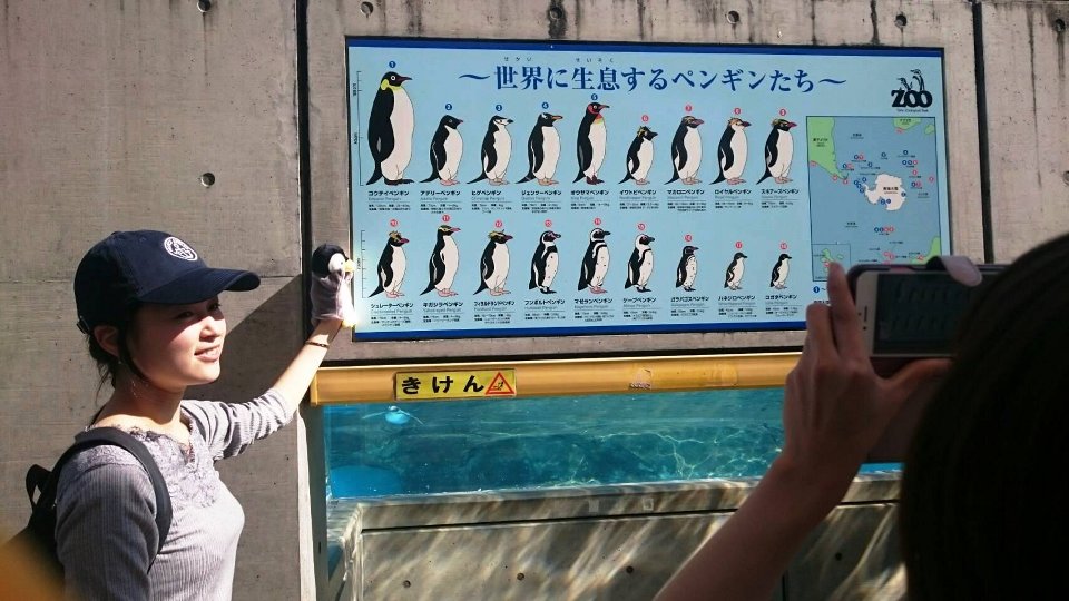 ペンギン