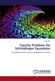 Cauchy Problem for Schrödinger Equations: A mathematical structure of quantum systems